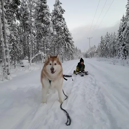 Apartman Waeltti Rovaniemi