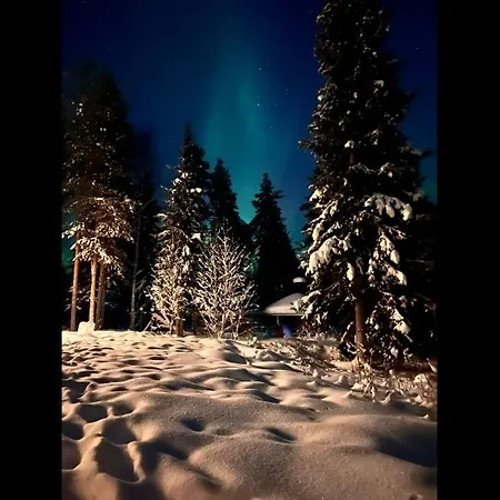 Waeltti Rovaniemi