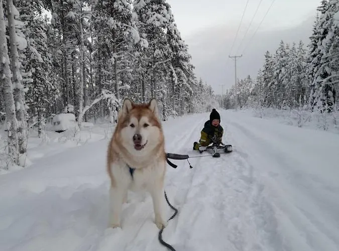 Lägenhet Waeltti Rovaniemi